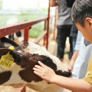 아버지목장 이미지