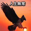 다대포해수욕장공원 Daum카페