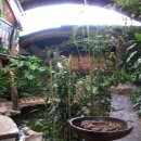 레이레스토랑 이미지