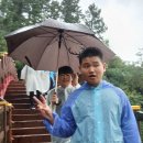 제주도 2025가을일기 7. 매일 다른 직업 이미지