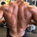 웰니스피티스튜디오 이미지