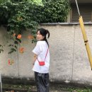 바리아도(variado)