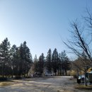 지리산오토캠핑장 | 구레/ 지리산오토캠핑장 24년 산수유 캠핑 첫째날 후기