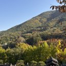 다담한옥 | [울산 가족숙소추천] 가을 단풍여행 아기랑 머물기 좋은 한옥스테이, 조용하고 따뜻한 하루 다담한옥