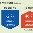 콩밀
