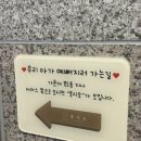 몽시오 이미지