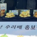 이종범농장 이미지