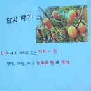 두동치술령(옻밭)농촌체험 휴양마을 | 두동 따시리 농촌체험마을에서 하루 농촌체험