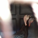 윤씨네농장 이미지