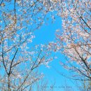 한밭수목원2 이미지