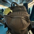 무주형설지공군립도서관 | 13회 무주산골영화제_ 3학년 2학기, 엄태화 단편선, 무성영화 ‘바람’