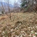 도인농장 이미지