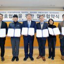 팜투테이블