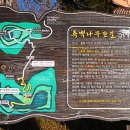 출렁다리(1) 이미지