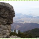 연리지 Daum카페