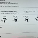 참하다뷰티