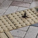 다정동_별뜰근린공원 이미지