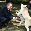 참