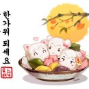 하이라이트헤어살롱 네이버블로그