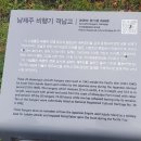 알뜨르식당