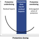 Anticoagulant and side-effects of protamine in cardiac surgery 이미지