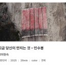 문화로 | 2025 울주세계산악영화제 후기 യ 산악문화로 꽉 채운 하루 !