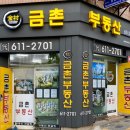 백산아파트 앞 이미지