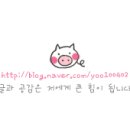 스팀보이양산물금점 이미지