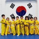 전인태권도교육관 이미지
