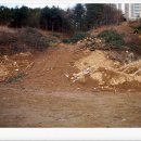 신일초등학교 이미지