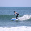 마켓바구스 이미지