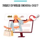 브이에스엠 네이버블로그