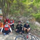 다산나정 이미지