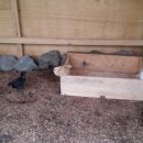 로그밸리 이미지