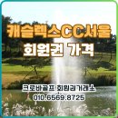 (주)캐슬렉스서울 캐슬렉스골프클럽 | 캐슬렉스cc 서울30분 골프장 회원권시세와 그린피 혜택