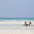 꿈꾸는바다민박 이미지