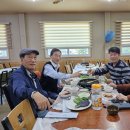 삼한당약국 Daum카페