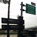 노을공원가로수길 이미지