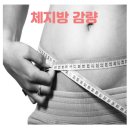 비엔알 이미지
