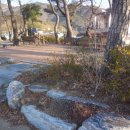 매화목장 이미지