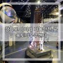 빅뱅사이언스 과학수사대 B | 강화도 아이와 가볼만한곳 옥토끼우주센터