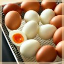 D-15 | 풀무원 에어프라이어 AV15D11 반년 써본 솔직 후기