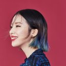 아이린 PC 네이버블로그
