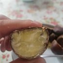 (주)경성건축 | 25.10 밤이 깊어갈수록 새벽이 가까워진다