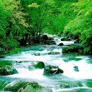 만고강산 이미지