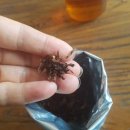 (사)푸른차문화연구원 이미지