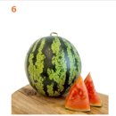 성일농장2 이미지