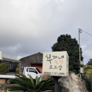 산하농장 | 제주 감귤체험 추천, 애월 부가네 농장｜귤 시식하다가 택배부터 보내버린 후기