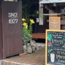 까페까멜리아 | 구룡포 일본가옥거리 카페 까멜리아 내돈내산 후기