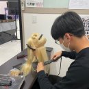 아뜰리에뷰티 아카데미 파주미용학원 이미지